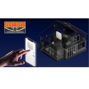 Segurisur