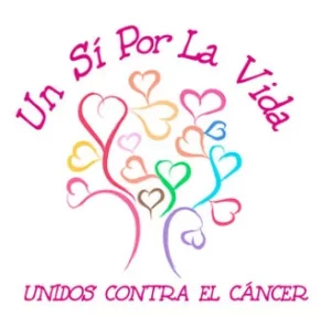 about_usplv